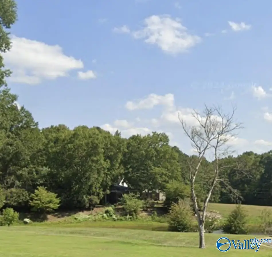 12 Foxview Court, Arab, AL 35016 - #1