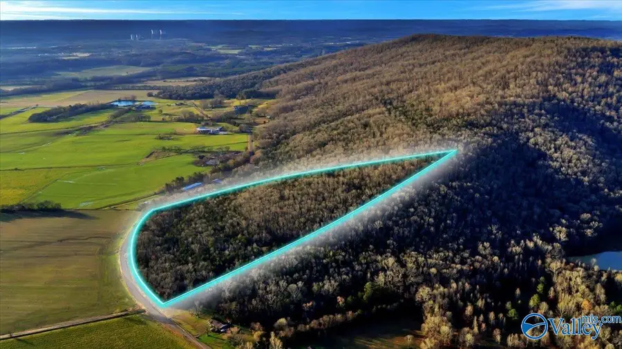 14.5 ac County Road 42, Hollywood, AL 35752 - #2