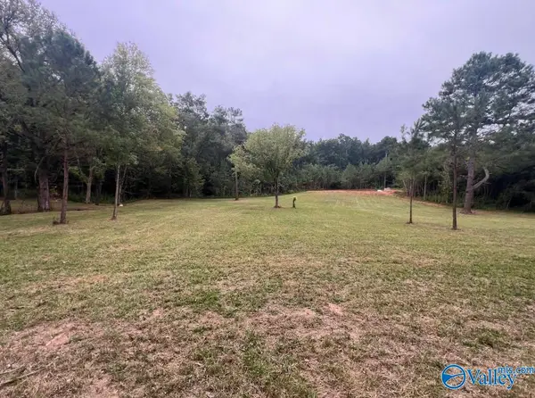 104 Acres Wesson Gap Road, Attalla, AL 35954