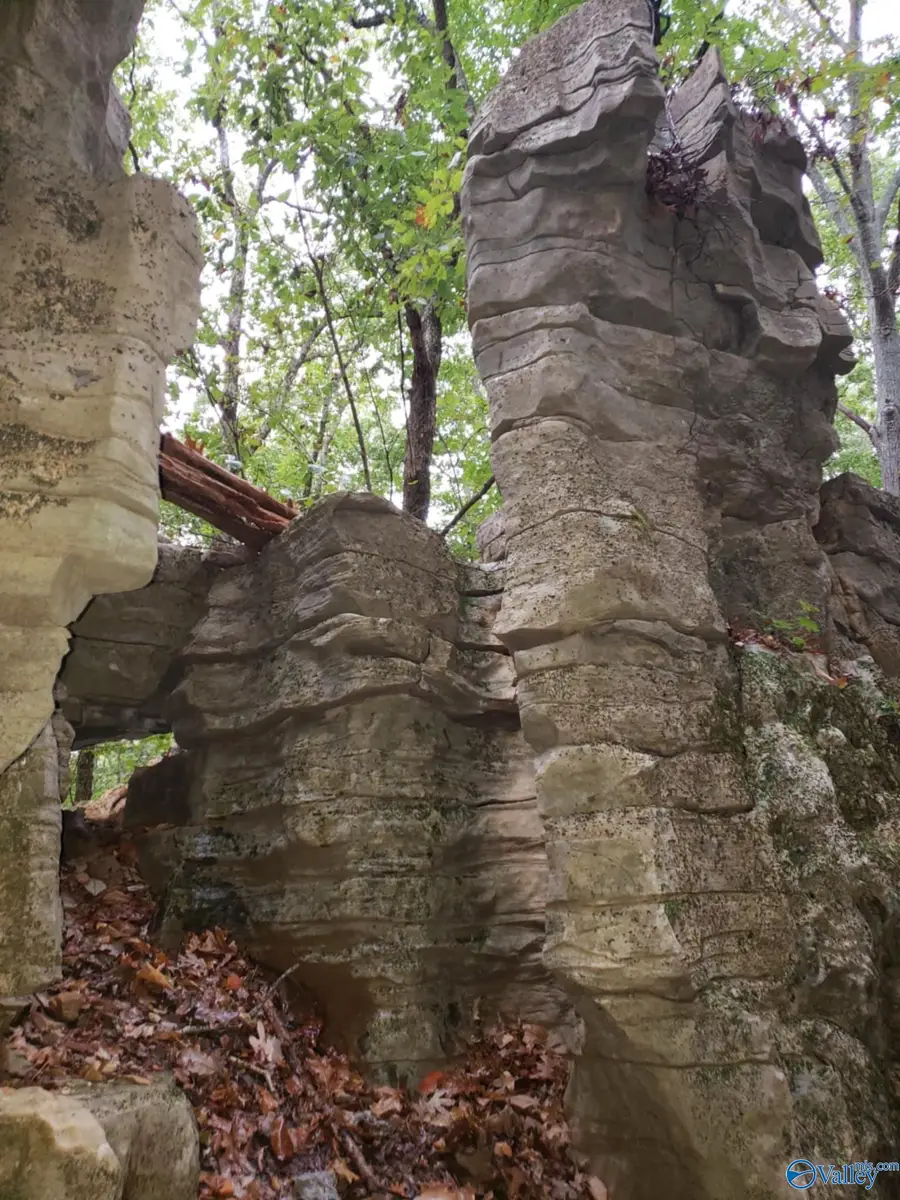 15acres Highway 101, Town Creek, AL 35672 - #3