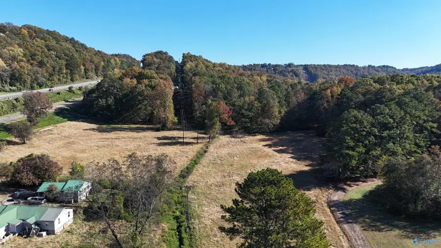 5503 Bodine Road, Guntersville, AL 35976 - #2