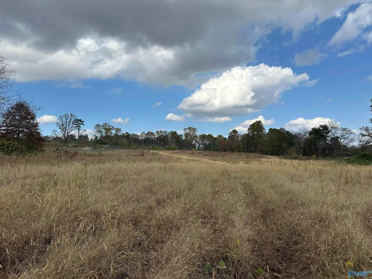 17.5 Acres Burwell Road, Harvest, AL 35749 - #1