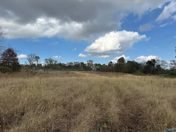 17.5 Acres Burwell Road, Harvest, AL 35749