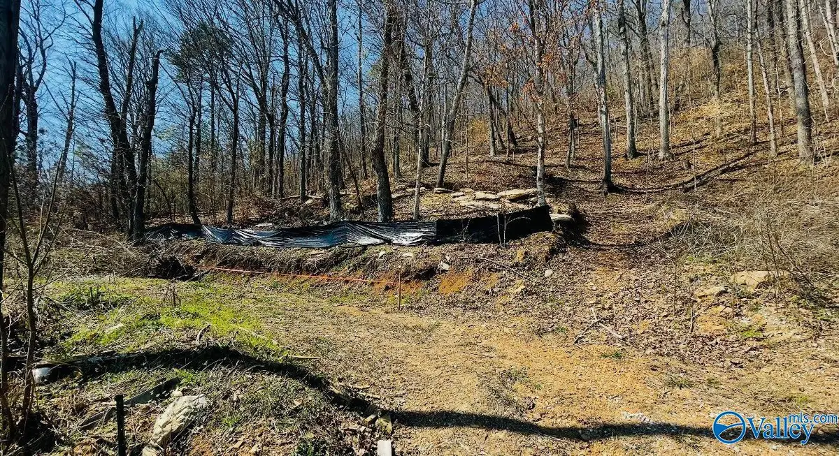 5928 Lister Ferry Road, Rainbow City, AL 35906 - #1