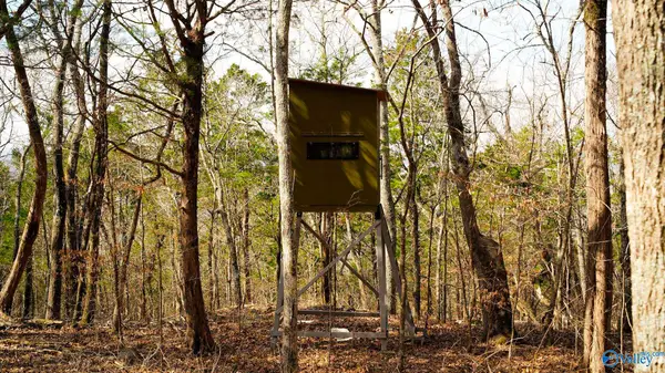 20.5 acres County Road 491, Stevenson, AL 35772