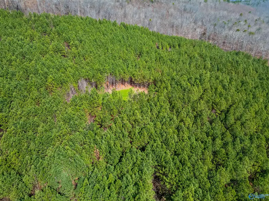 57 acres Persall Drive, Gadsden, AL 35901 - #2