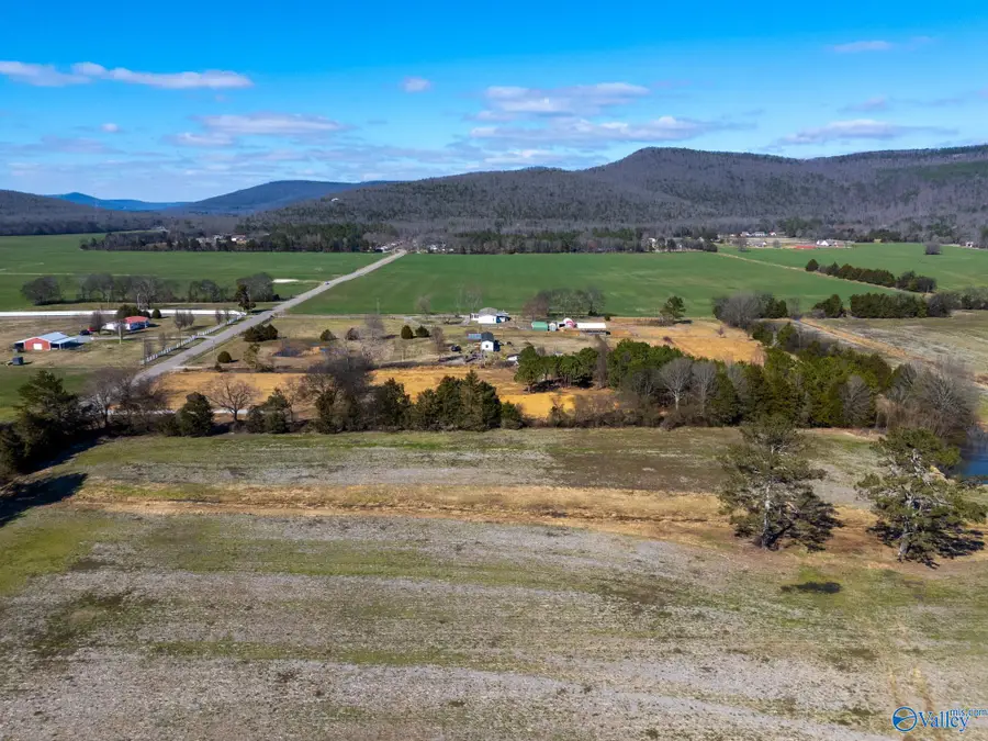 397 Old Gurley Pike, Owens Cross Roads, AL 35763 - #2