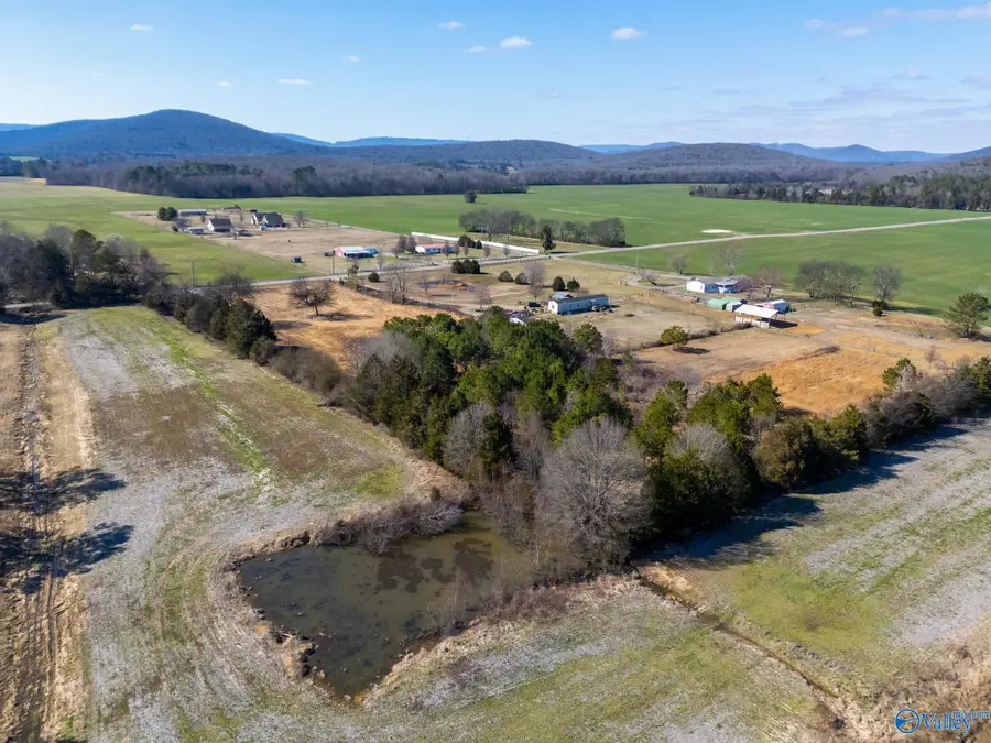 397 Old Gurley Pike, Owens Cross Roads, AL 35763 - #3