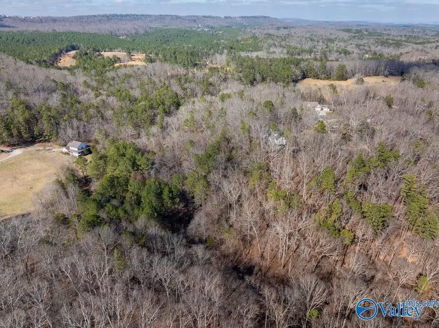 12.2 acres Browder Road, Fort Payne, AL 35968 - #2