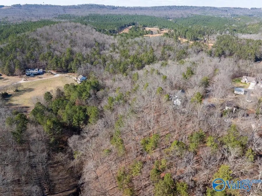 12.2 acres Browder Road, Fort Payne, AL 35968 - #3