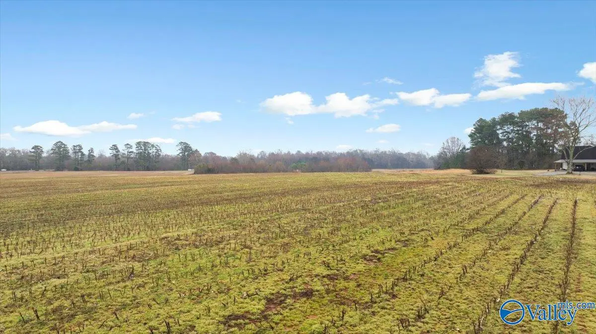 5 Acres Loveless Road, Hazel Green, AL 35750 - #1