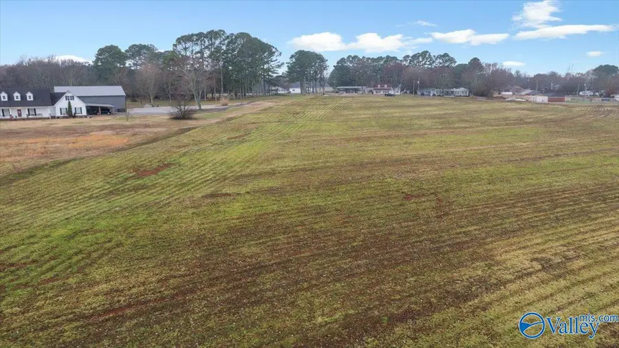 5 Acres Loveless Road, Hazel Green, AL 35750 - #3