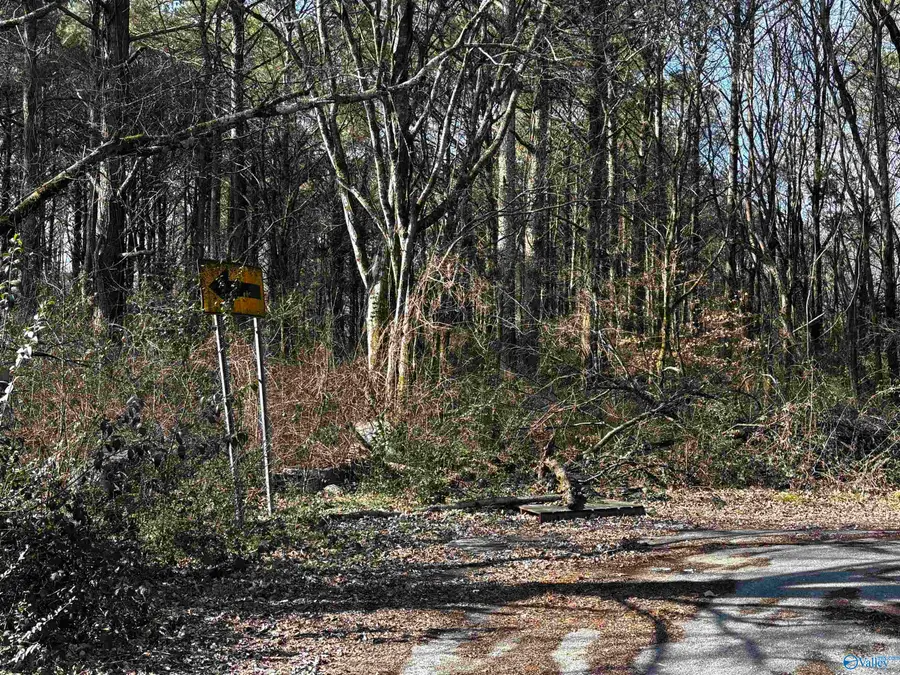 Pin 35708 Tee Jay Drive, Huntsville, AL 35810 - #3