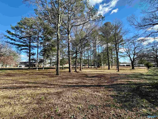 0.89 Acres Case Ave Se, Attalla, AL 35954