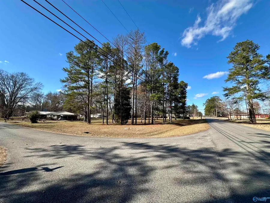 0.89 Acres Case Ave Se, Attalla, AL 35954 - #2