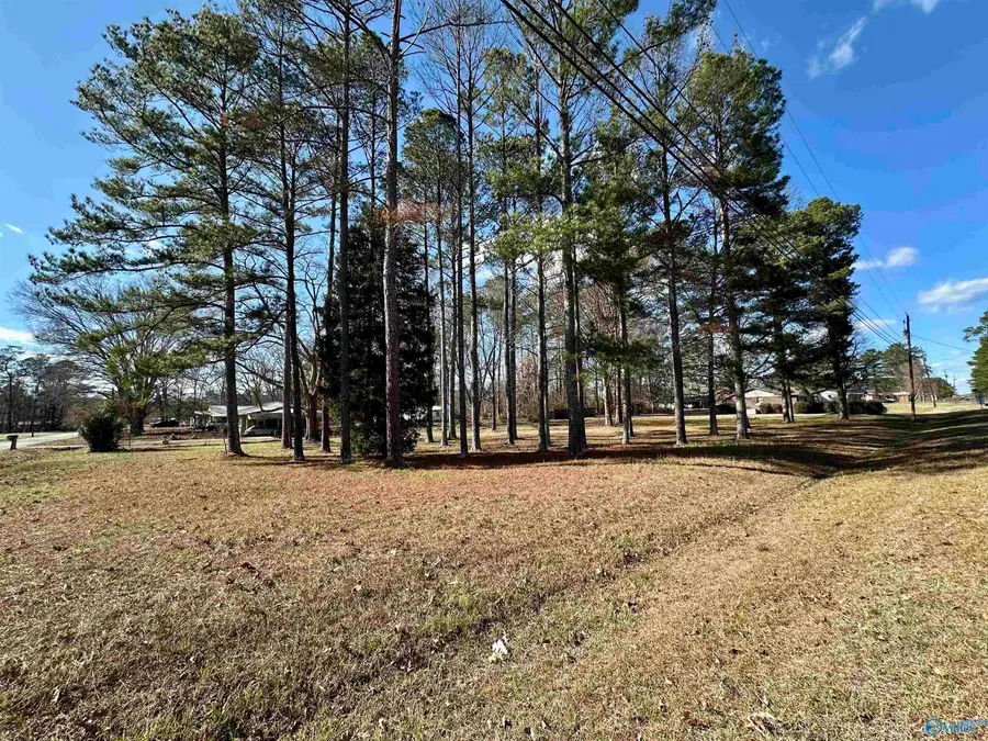 0.89 Acres Case Ave Se, Attalla, AL 35954 - #3