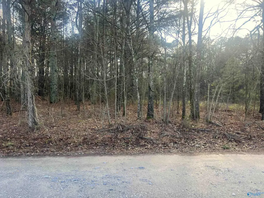 Tract 1 County Road 450, Centre, AL 35960 - #3