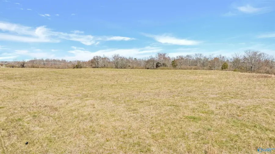 17 acres County Road 48, Section, AL 35771 - #2