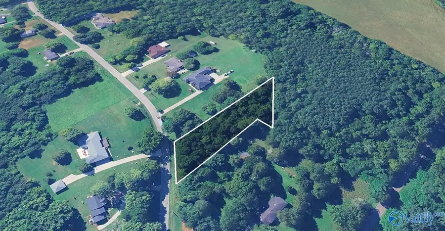 590 Carters Gin Road, Toney, AL 35773 - #3