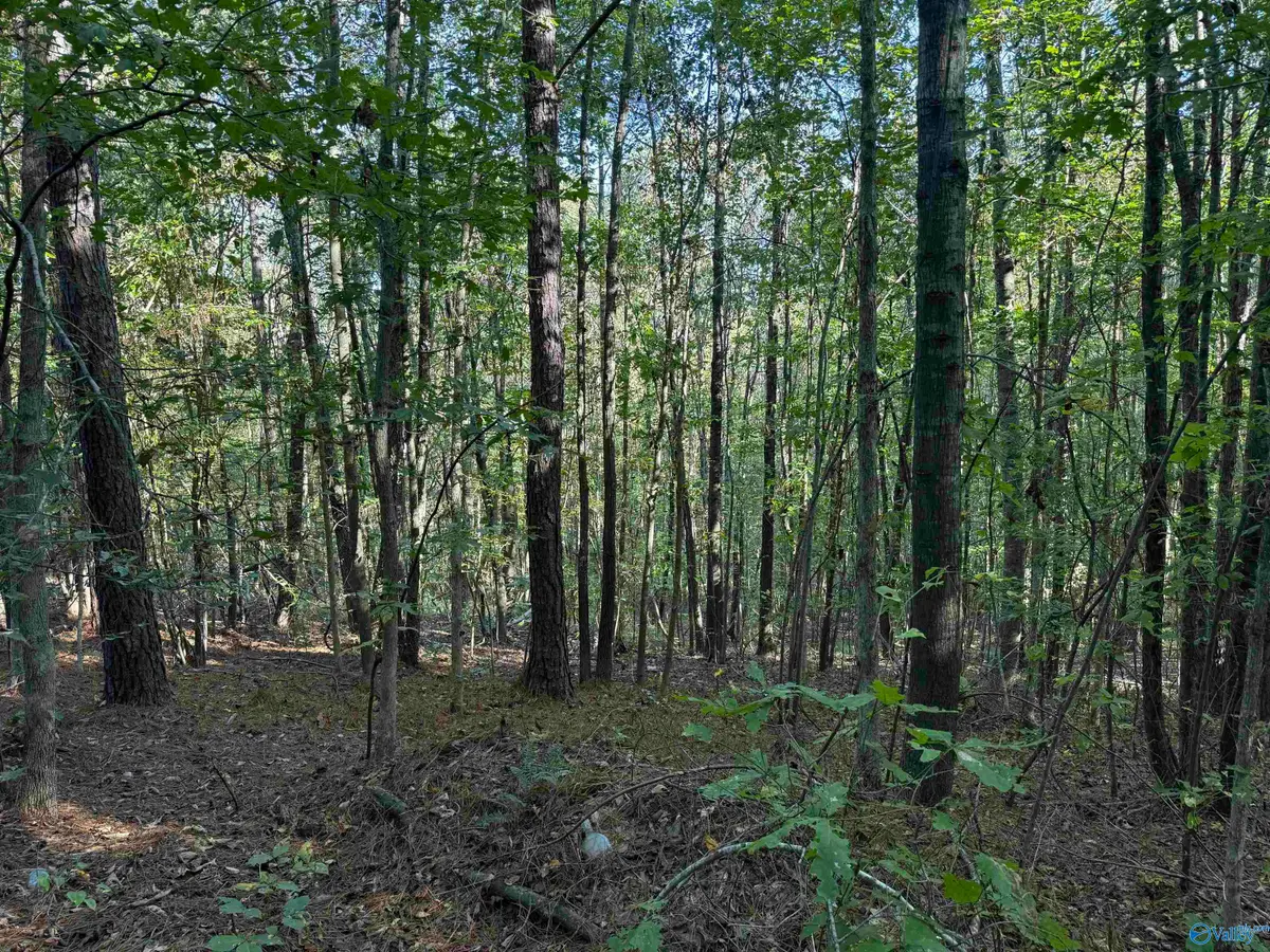 1028 Goddard Road, Bear Creek, AL 35543 - #1