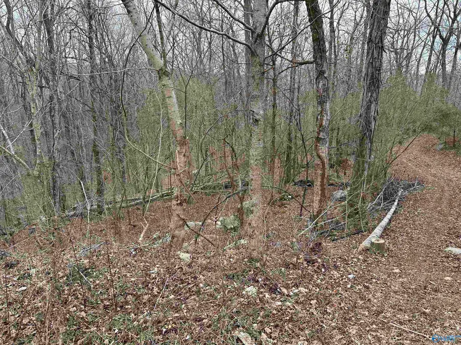 4621 Legacy Preserve Way Se, Brownsboro, AL 35741 - #2