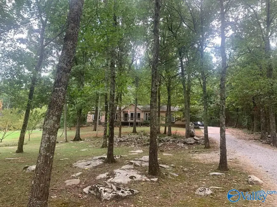 600 Lewis Mountain Road, New Market, AL 35761 - #3