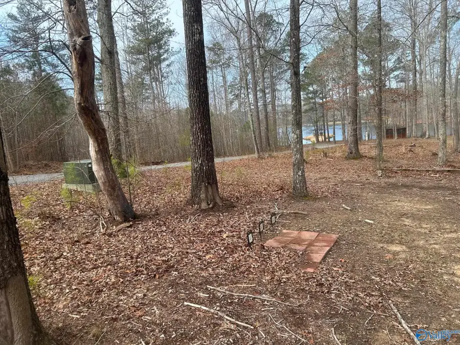 1805 County Road 103 #Lot 43, Mentone, AL 35984 - #3