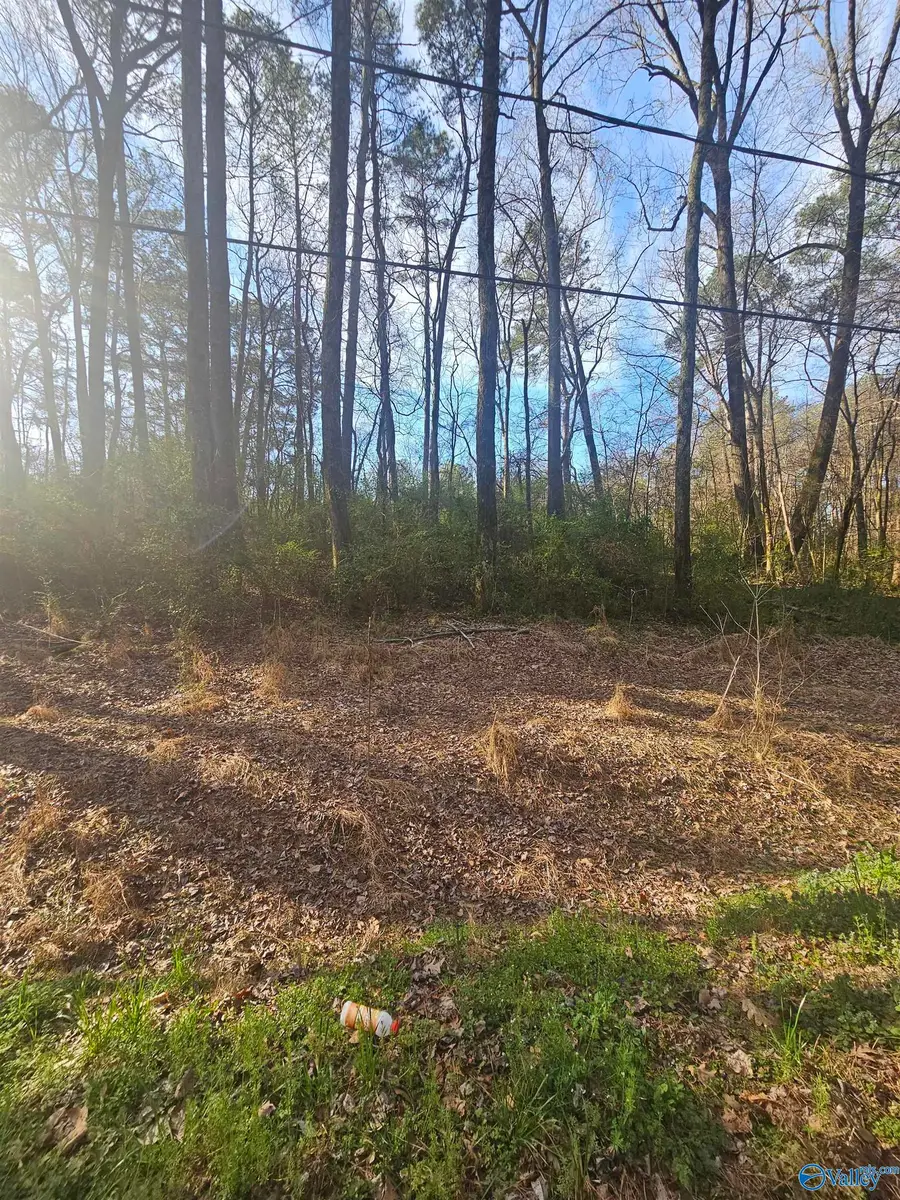 0.50 Mitchell Street, Madison, AL 35757 - #2