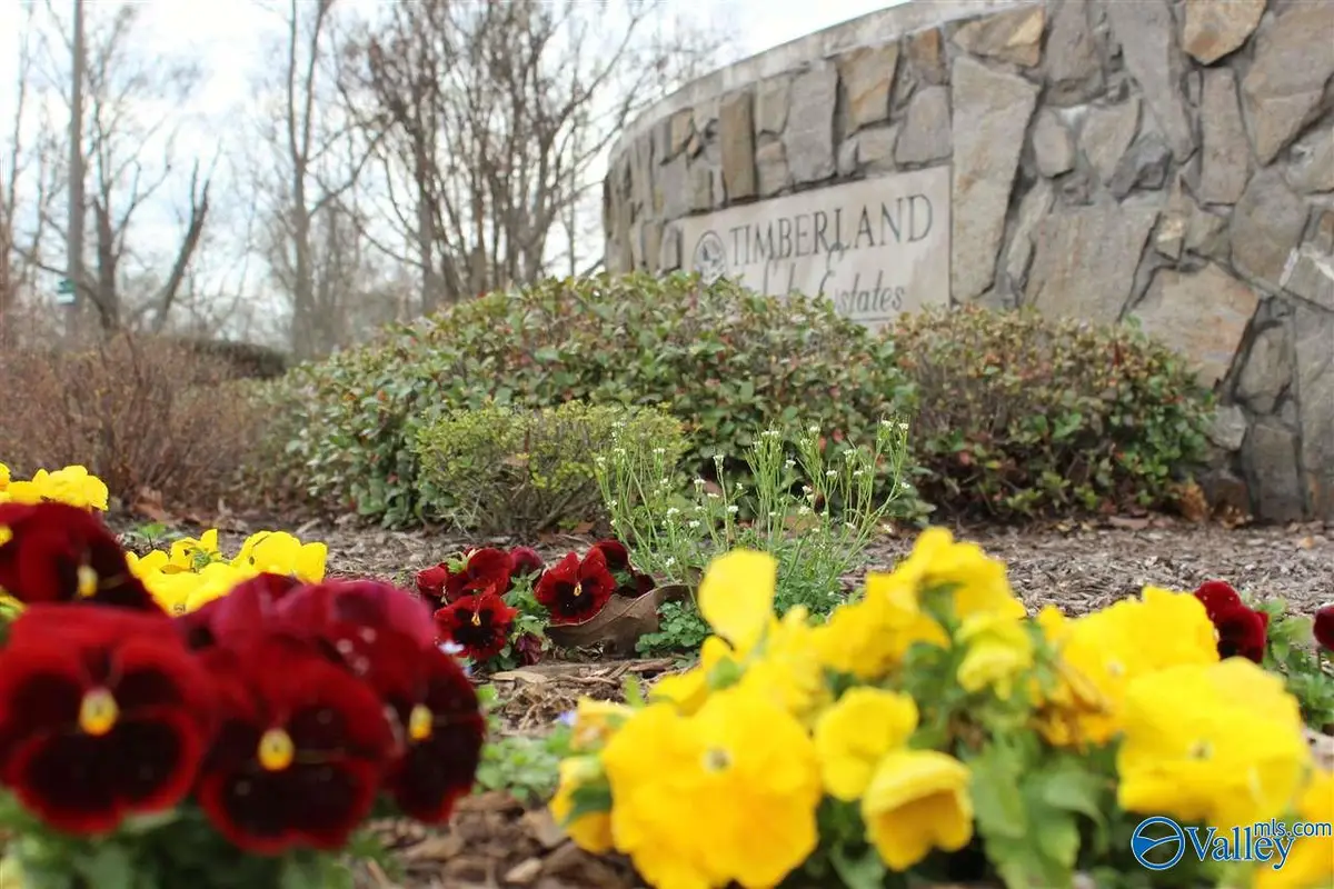 3729 Timberlake Court, Decatur, AL 35603 - #1