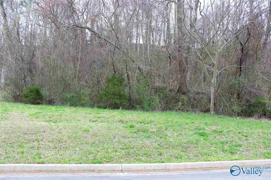 3729 Timberlake Court, Decatur, AL 35603 - #2