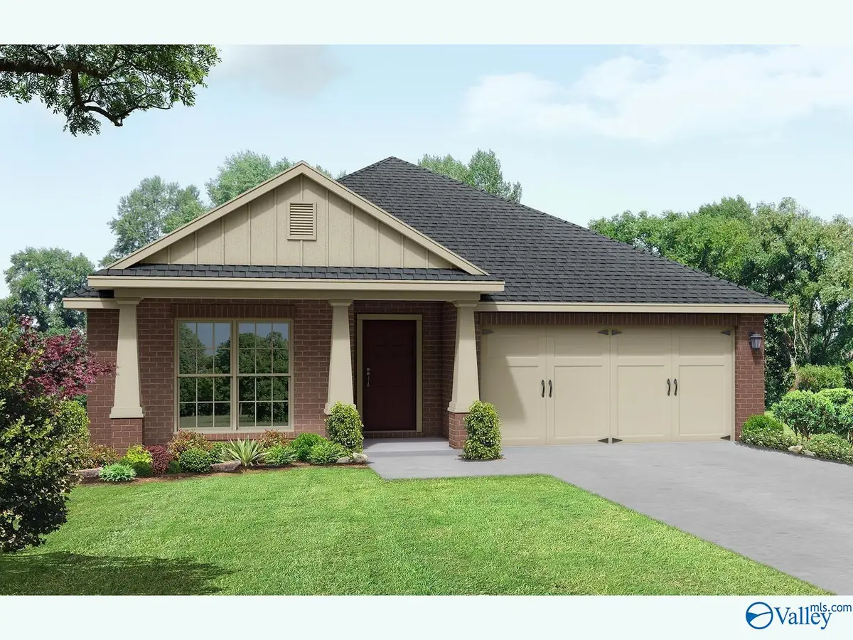 118 Cotita Drive, Toney, AL 35773 - #1