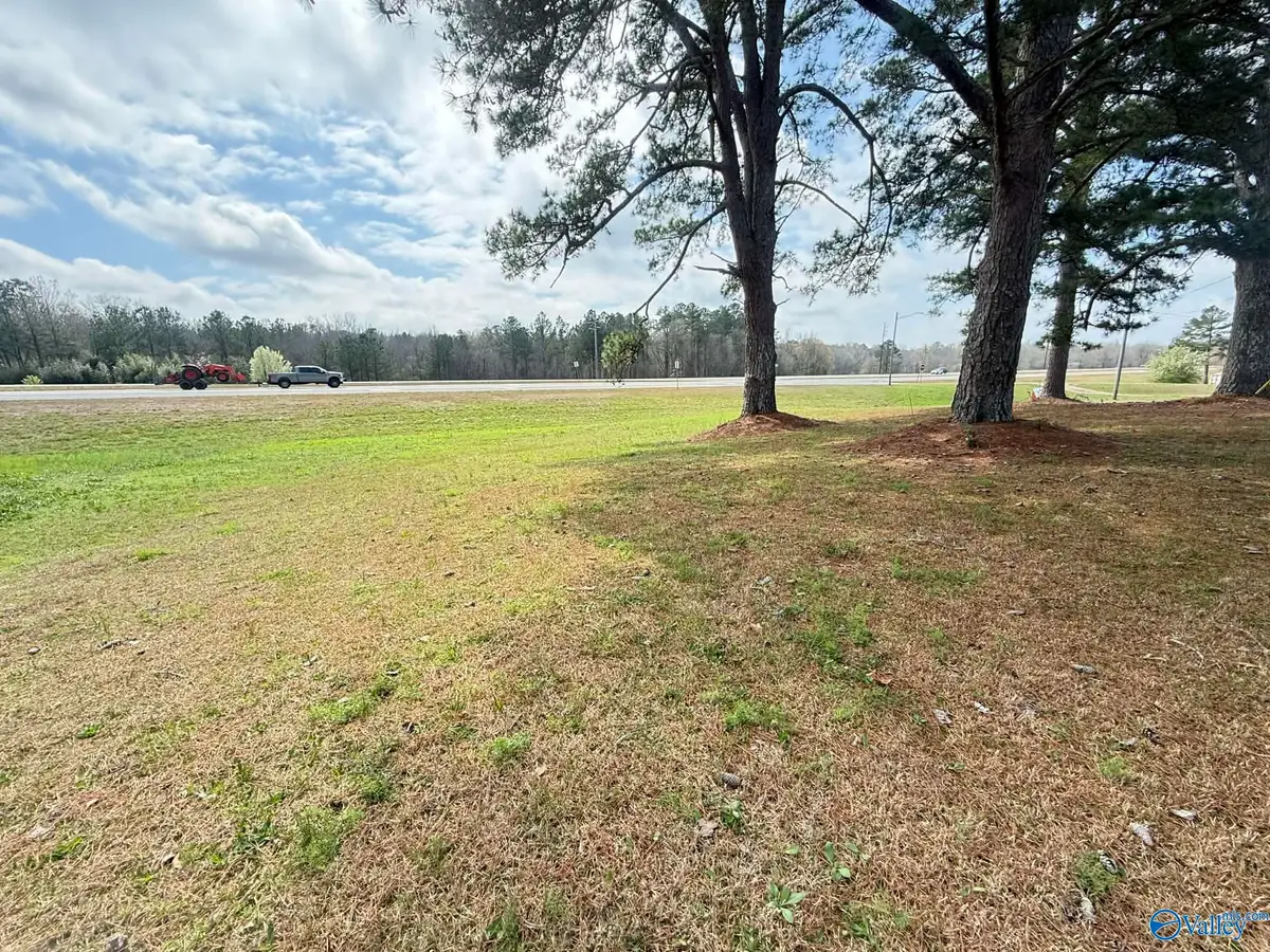 4196 Oak Street, Hokes Bluff, AL 35903 - #1