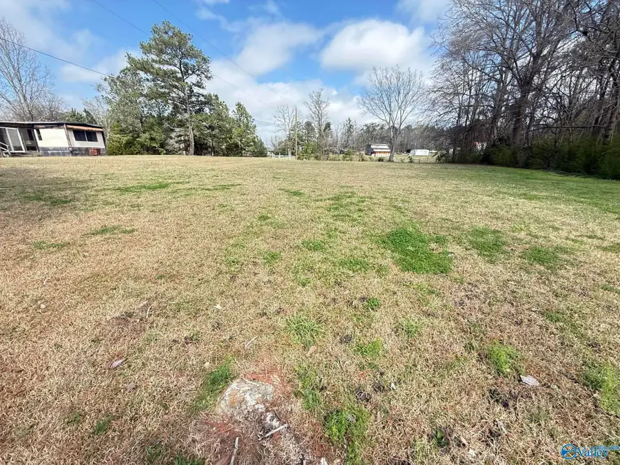 4196 Oak Street, Hokes Bluff, AL 35903 - #2