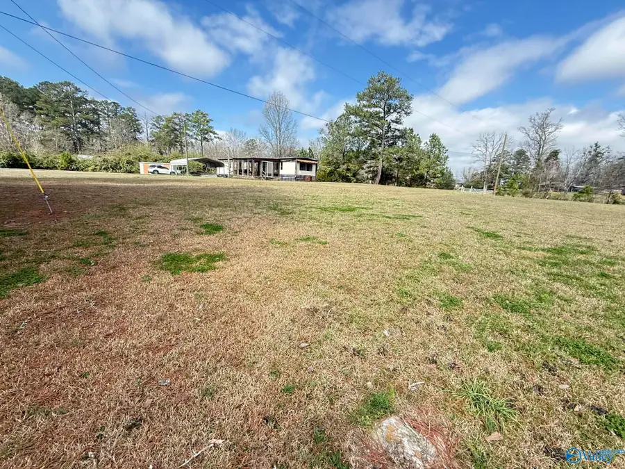 4196 Oak Street, Hokes Bluff, AL 35903 - #3