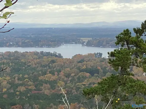 83 Cruickshank Lane, Leesburg, AL 35983