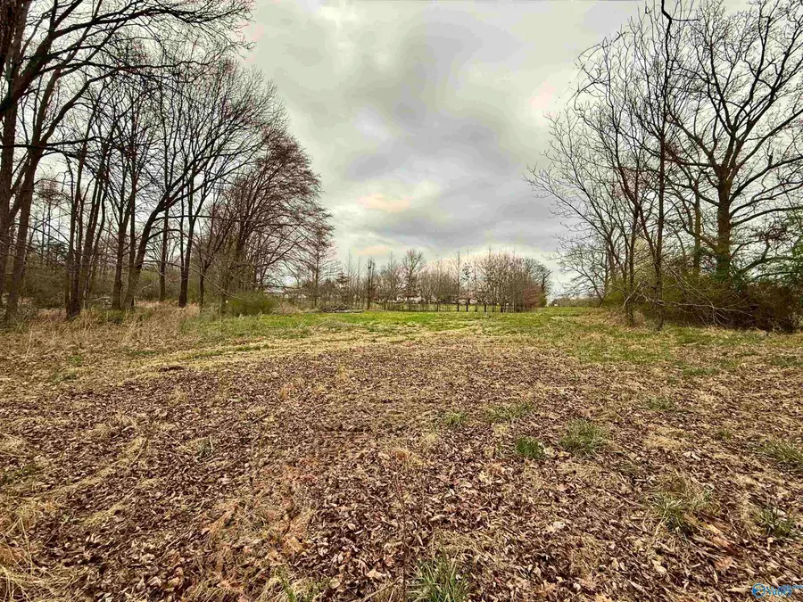 12305 Pulaski Pike, Toney, AL 35773 - #3