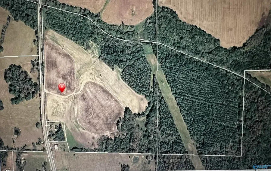 120 +/- ACRES County Road, Mount Hope, AL 35672 - #3