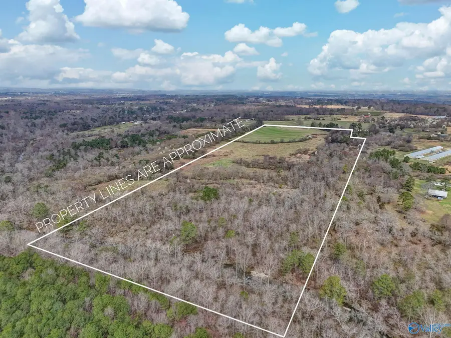 1368 Davis Road, Albertville, AL 35951 - #2