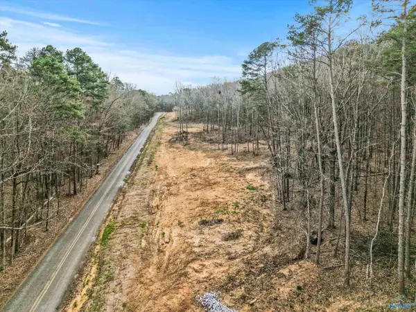 900 B Lot 1 County Road 114, Scottsboro, AL 35769