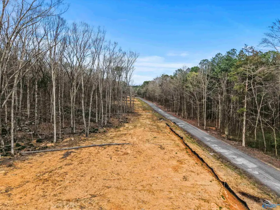 900 B Lot 1 County Road 114, Scottsboro, AL 35769 - #3