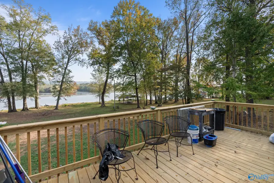 367 River Drive, Hollywood, AL 35752 - #3