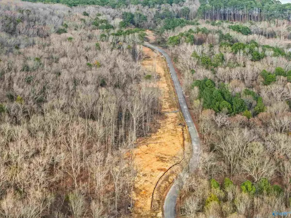 900-B Lot 10 County Road 114, Scottsboro, AL 35769