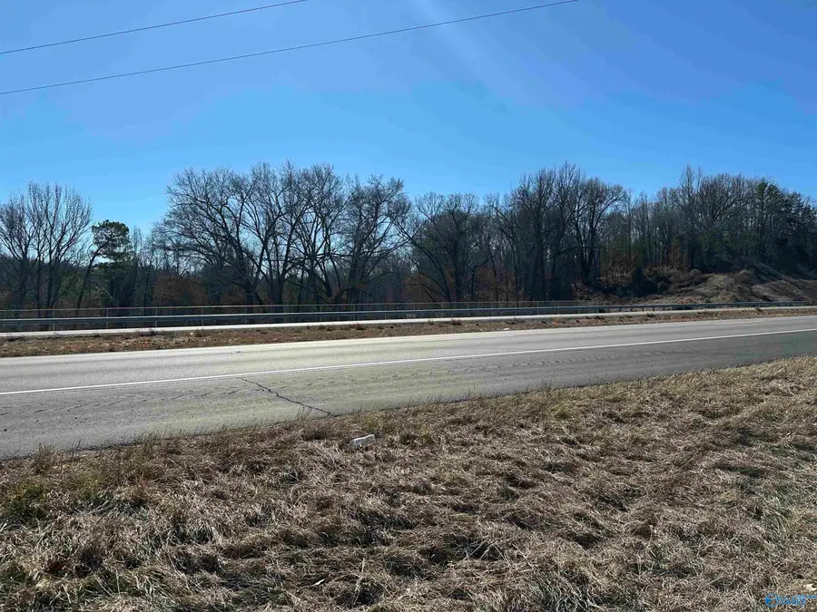 13 acres Gordon Terry Parkway W, Decatur, AL 35603 - #3