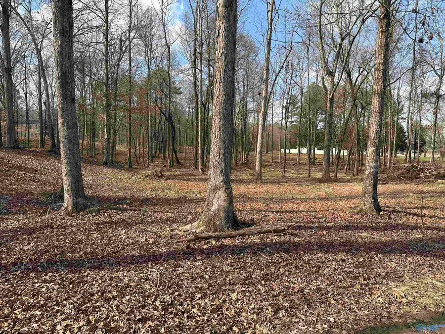 2.5 acres Ghost Hill Road, Trinity, AL 35603 - #2