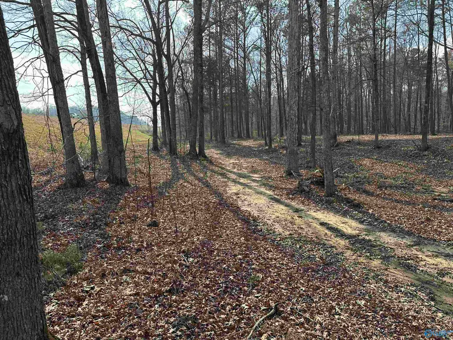 2.5 acres Ghost Hill Road, Trinity, AL 35603 - #3