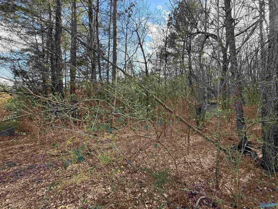 2113 Buster Willett Road, Attalla, AL 35954 - #2