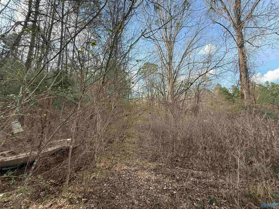 2113 Buster Willett Road, Attalla, AL 35954 - #3