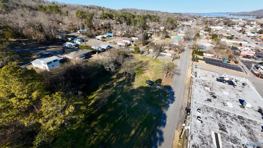 1900 Obrig Avenue, Guntersville, AL 35976 - #2