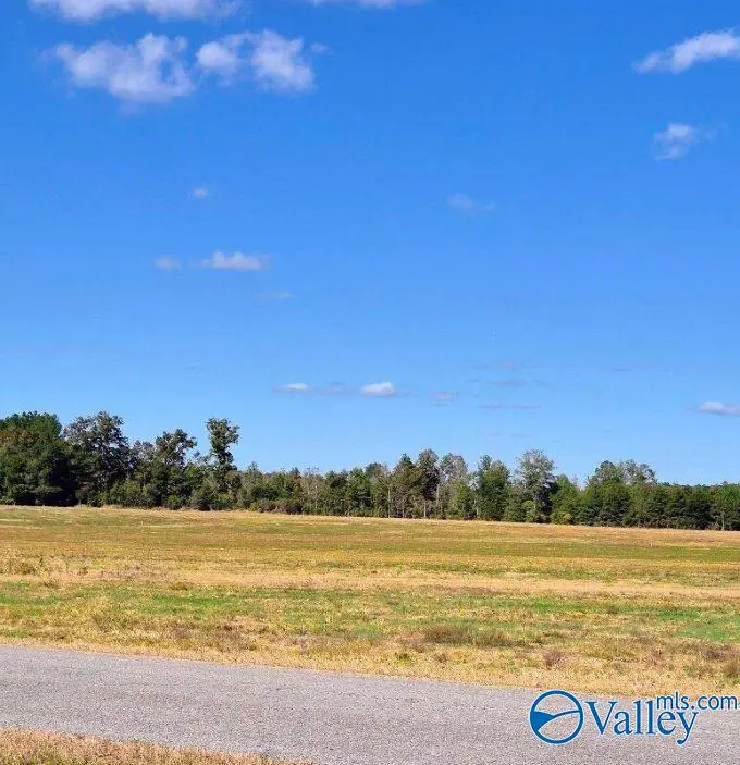 Tract 34 County Road 32, Centre, AL 35960 - #2