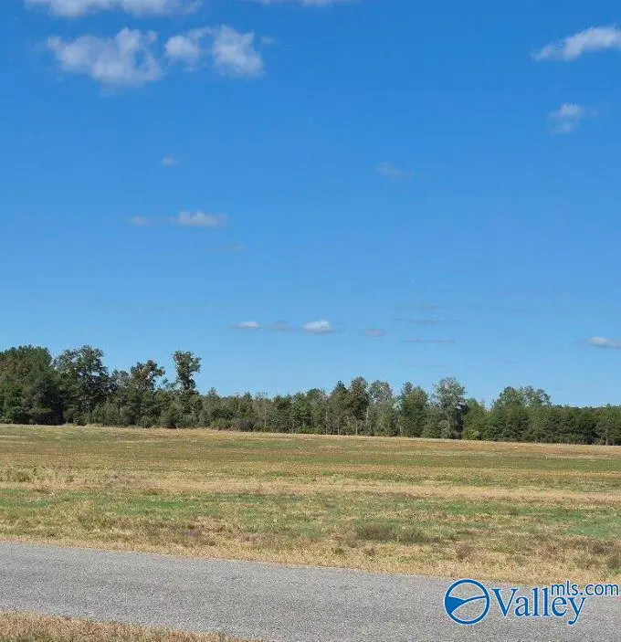 Tract 34 County Road 32, Centre, AL 35960 - #3